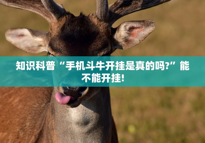 知识科普“手机斗牛开挂是真的吗?	”能不能开挂!