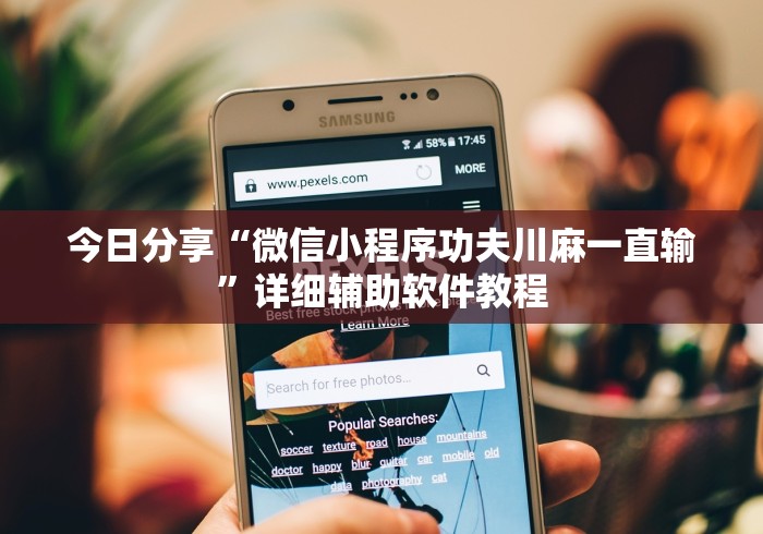 今日分享“微信小程序功夫川麻一直输	”详细辅助软件教程