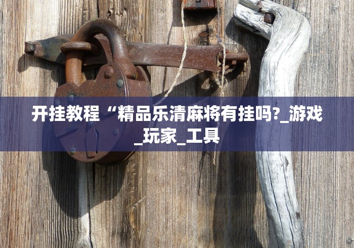 开挂教程“精品乐清麻将有挂吗?_游戏_玩家_工具