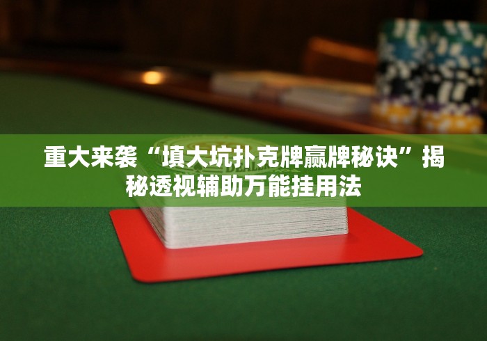 重大来袭“填大坑扑克牌赢牌秘诀”揭秘透视辅助万能挂用法