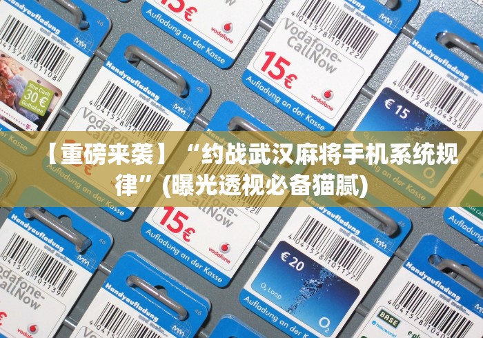 【重磅来袭】“约战武汉麻将手机系统规律”(曝光透视必备猫腻)