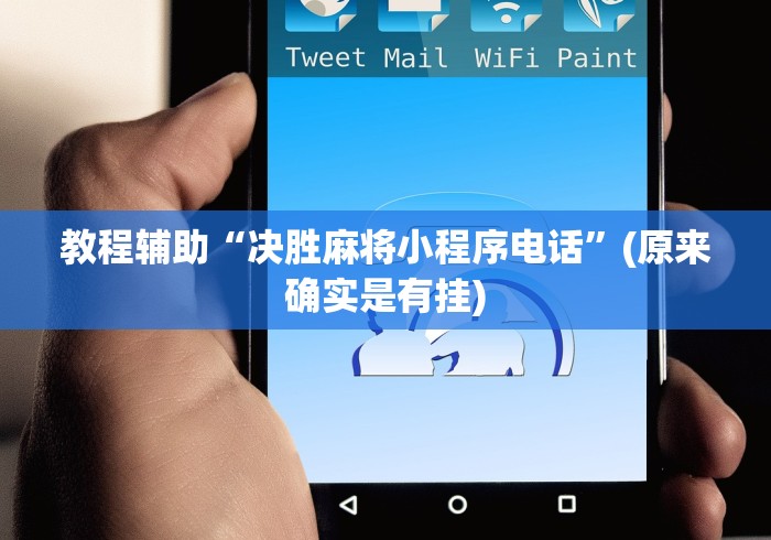 教程辅助“决胜麻将小程序电话”(原来确实是有挂)