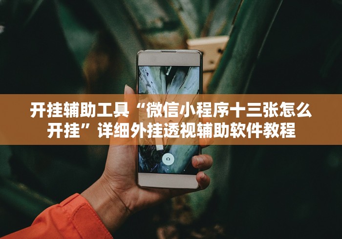 可用版本“微乐刨幺填大坑秘籍”(详细透视教程)-