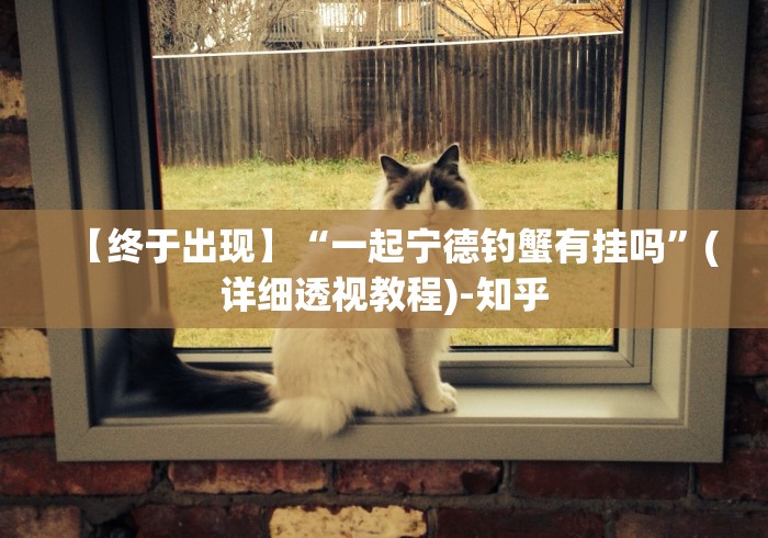 【终于出现】“一起宁德钓蟹有挂吗”(详细透视教程)-知乎
