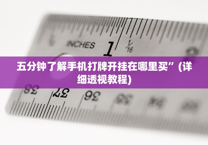 五分钟了解手机打牌开挂在哪里买”(详细透视教程)