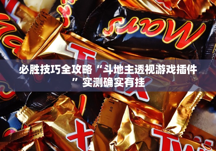 必胜技巧全攻略“斗地主透视游戏插件”实测确实有挂