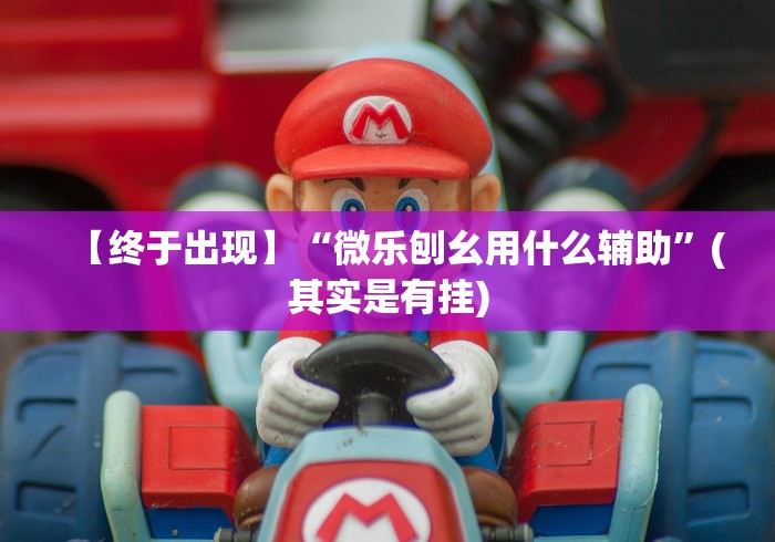 [实测]“微乐麻将亲友房开挂器通用版”(详细透视教程)-