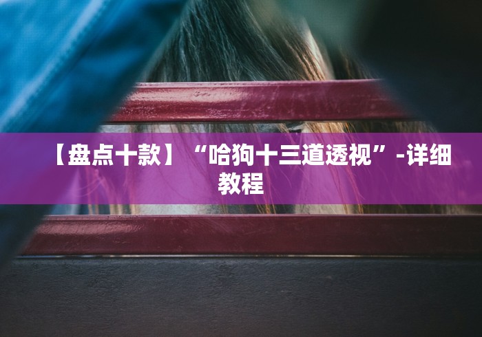 【盘点十款】“哈狗十三道透视”-详细教程