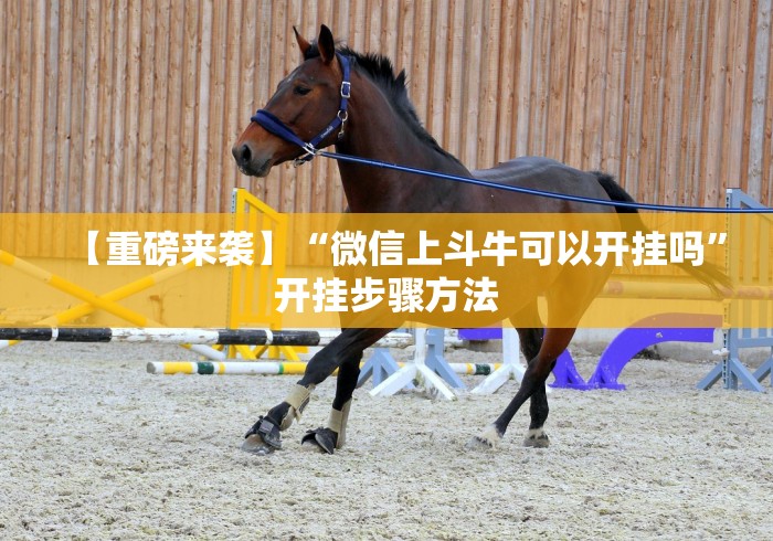 【重磅来袭】“微信上斗牛可以开挂吗	”开挂步骤方法
