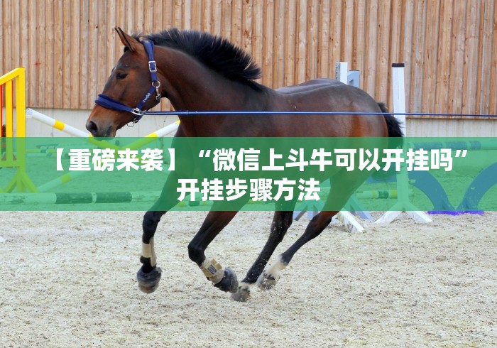 【重磅来袭】“微信上斗牛可以开挂吗”开挂步骤方法