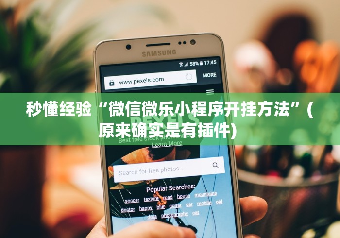 秒懂经验“微信微乐小程序开挂方法”(原来确实是有插件) 