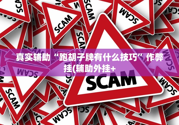 真实辅助“跑胡子牌有什么技巧”作弊挂(辅助外挂+