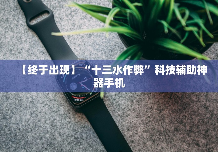 【终于出现】“十三水作弊”科技辅助神器手机