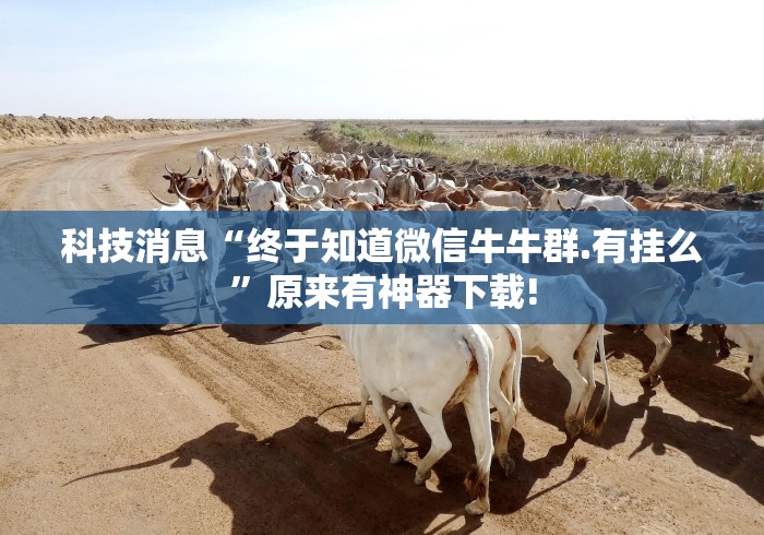 科技消息“终于知道微信牛牛群.有挂么”原来有神器下载!