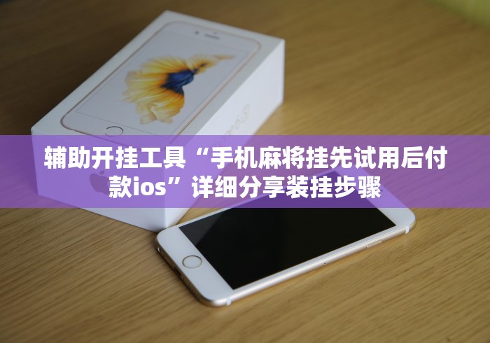 辅助开挂工具“手机麻将挂先试用后付款ios”详细分享装挂步骤